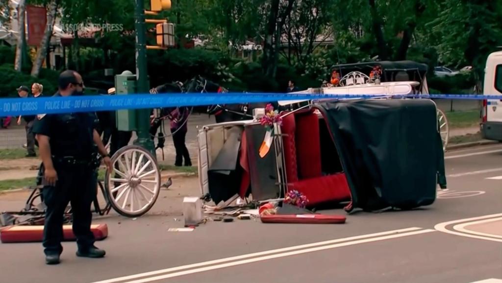 Central Park horse carriage rides suspended after fatal accident