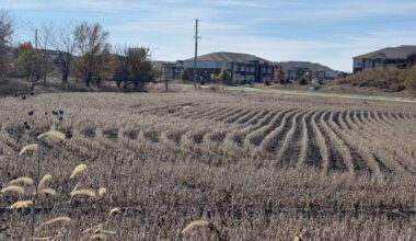 Developer seeks incentive from City of Lawrence to build 131 units of housing near Wakarusa and Queens | News, Sports, Jobs