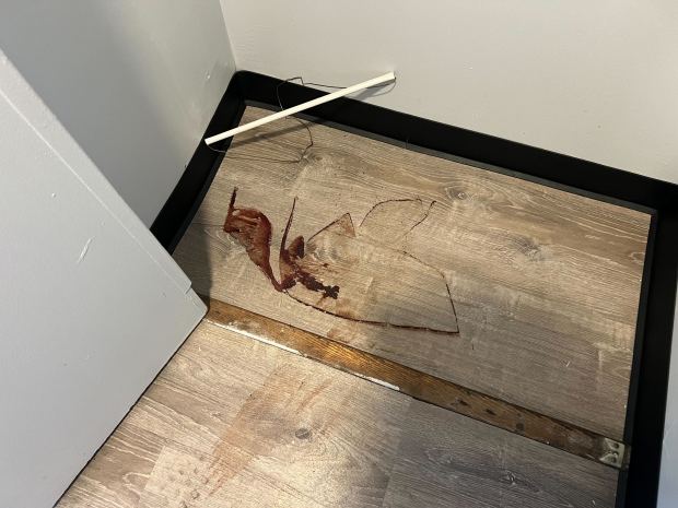 Blood is seen inside a closet in Nadia Vitels's apartment in March 2024.