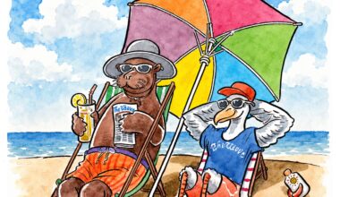 Editorial: Summer’s Here - The Wave