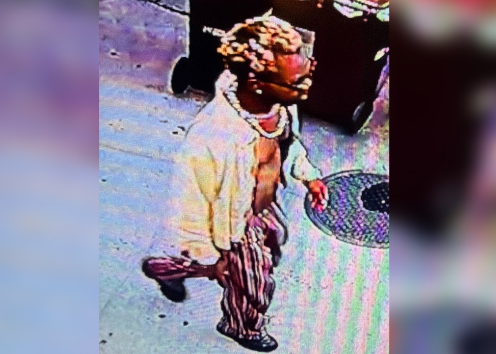 Cops hunt for man who tried to rape woman, 44, in Central Park