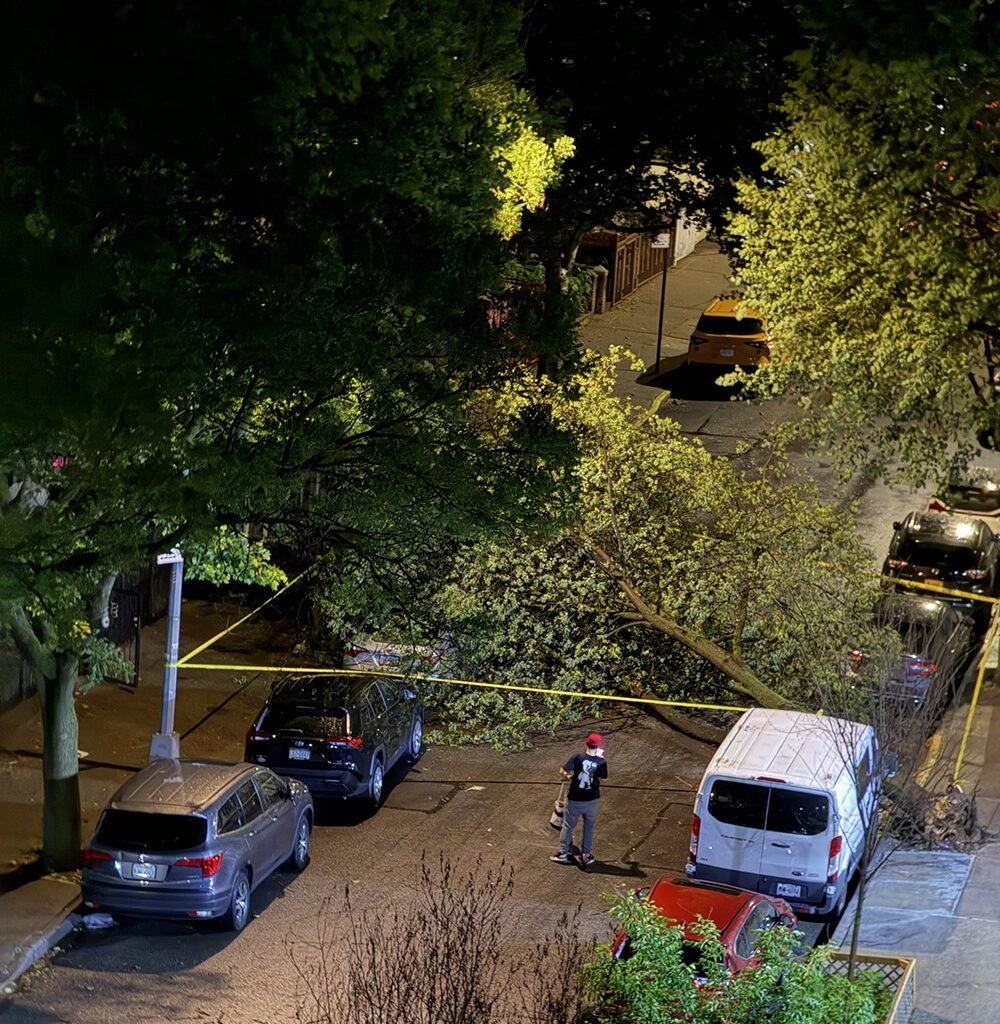 Norwood: Downed Tree Blocks Decatur Avenue Causing Some Damage to Parked Cars