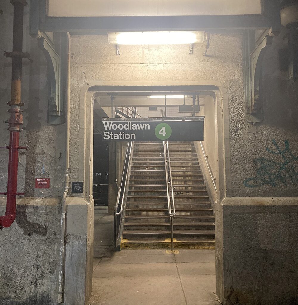 Norwood: Man Reportedly Seen with Snake at Woodlawn Subway Station