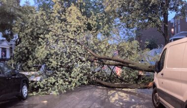 UPDATE Norwood: Downed Tree Blocks Decatur Ave Causing Some Damage to Parked Cars