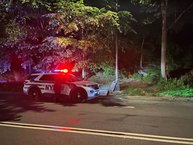 Police on the scene where a carriage horse collapsed and died on West Drive just north of of West 72 Street in Manhattan on June 9, 2026. (Kerry Burke/New York Daily News)