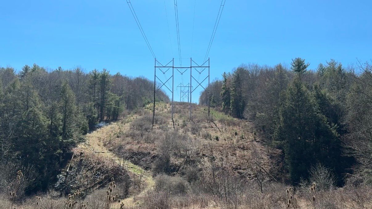 Part of the proposed 500 plus acre tech park. (Spectrum News/Natalie Mooney)