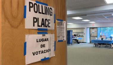 Voters priorities during early voting for Primaries
