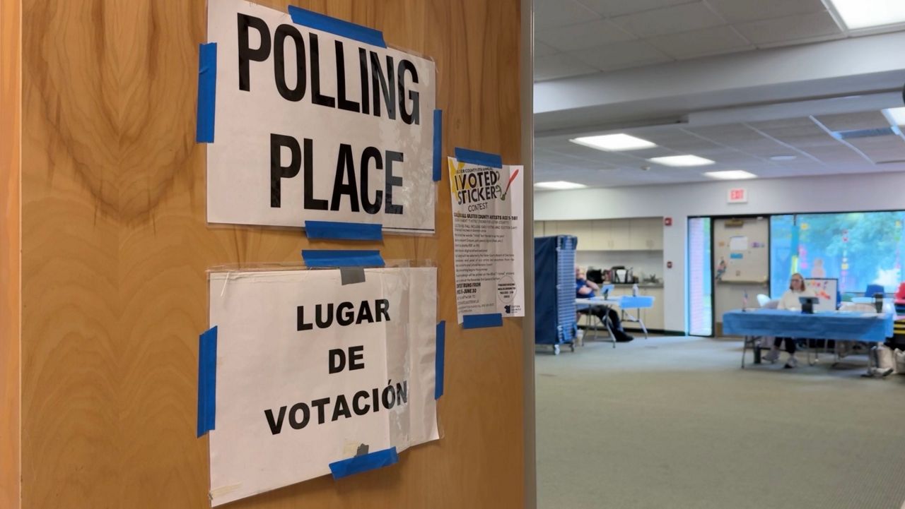 Voters priorities during early voting for Primaries