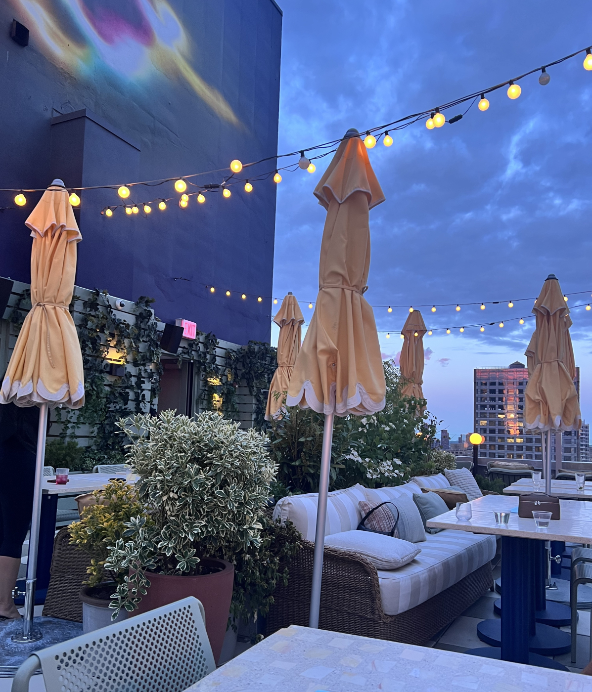 Review: ART NoMad Offers A Seasonal Rooftop Hideaway Above Manhattan Image