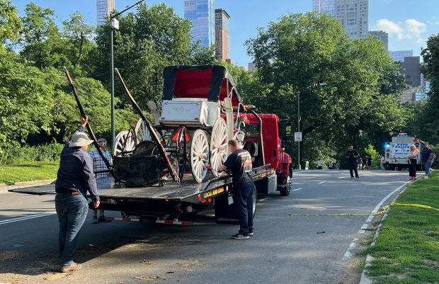 A damaged horse carriage is pictured being removed from Central Park after it overturned on Wednesday, June 17, 2026, in Manhattan. (Barry Williams / New York Daily News)