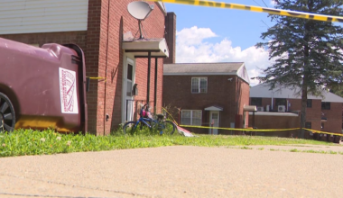 Grandmother suspected of poisoning her daughter and 4 grandchildren to death, police say