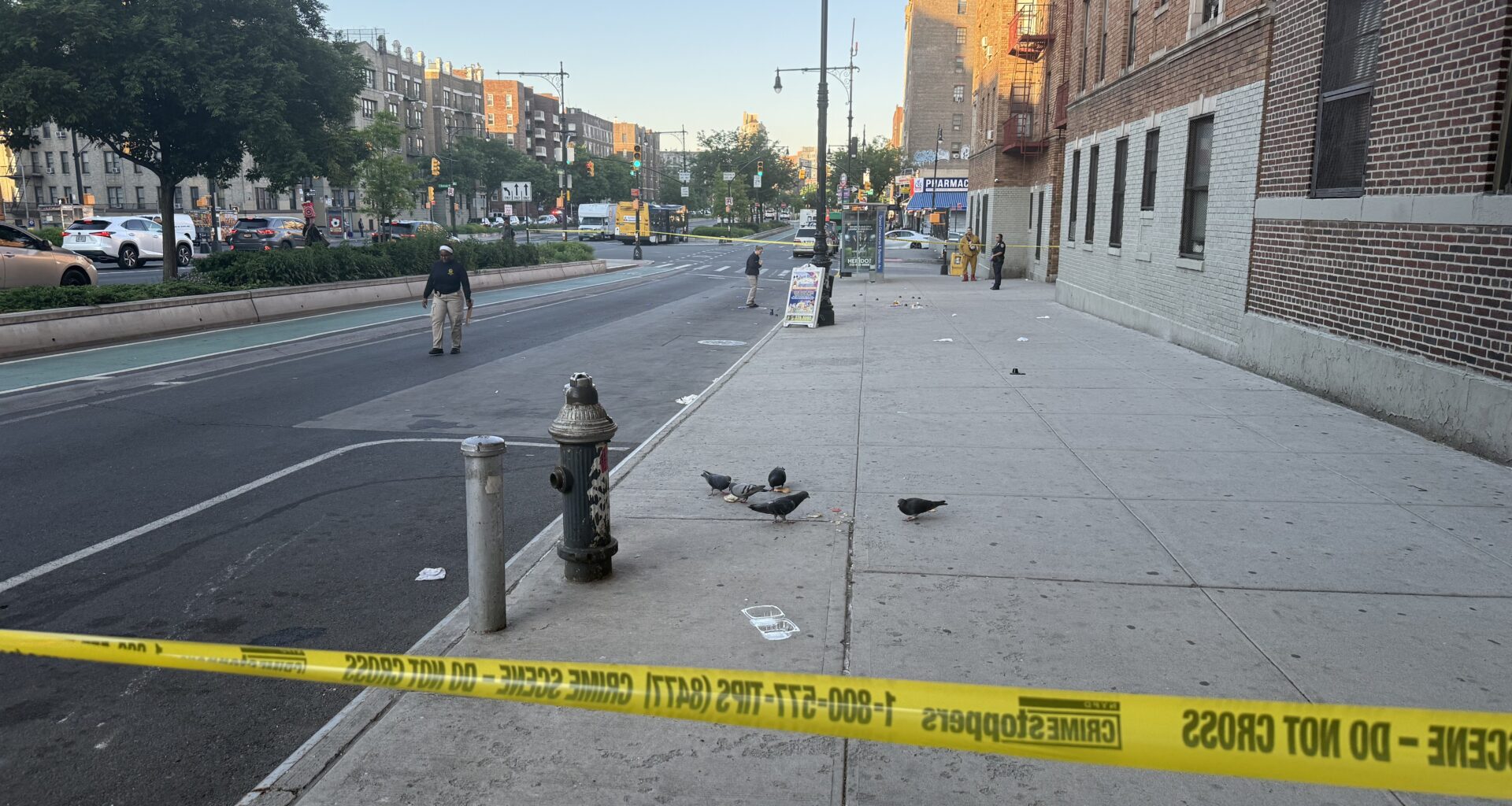 News 12 | Bronx | Man Shot To Death In Fordham Heights Investigation Underway