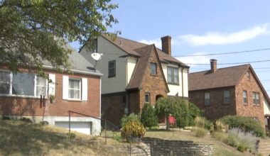property tax rebate checks