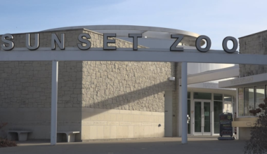 Manhattan’s Sunset Zoo announces death of 10-year-old Sichuan takin