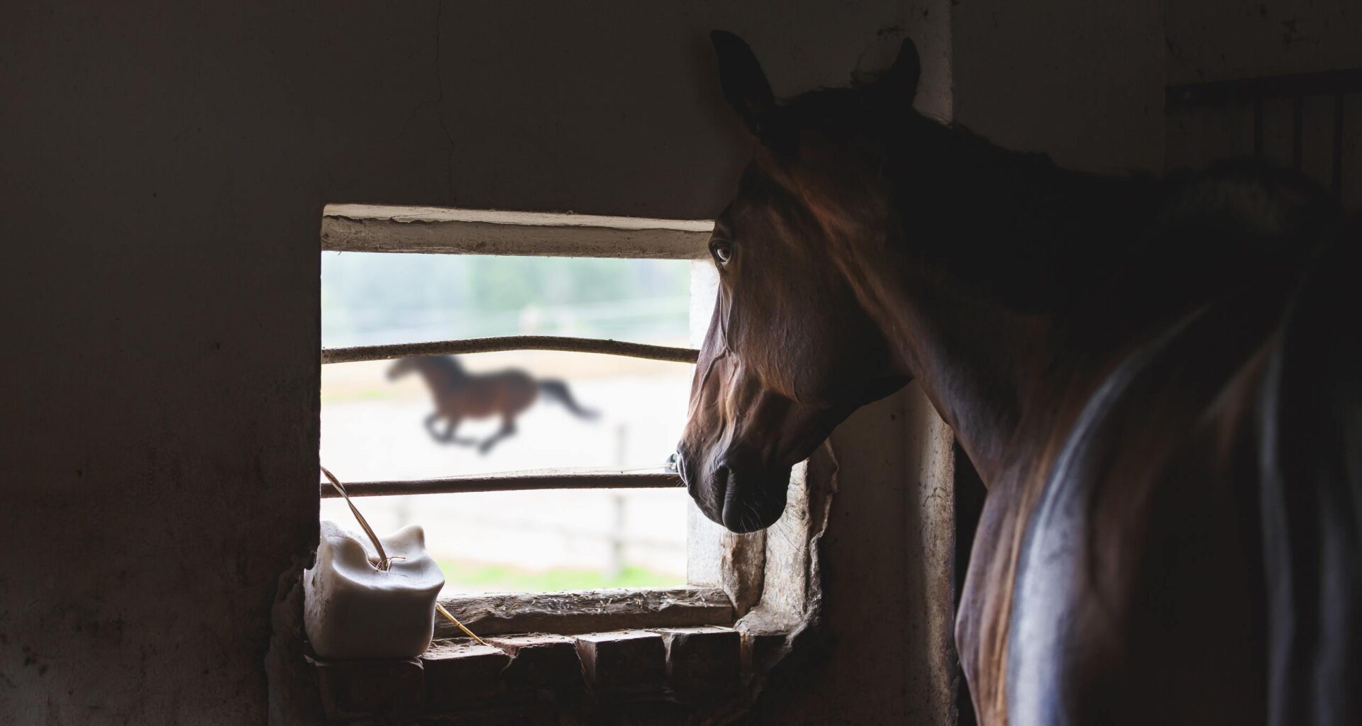 Sport of Kings Can’t Account for Its Queens