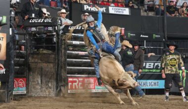 New York Mavericks build momentum for next team bull riding season with captain’s Rookie of the Year win, riders earning top rankings