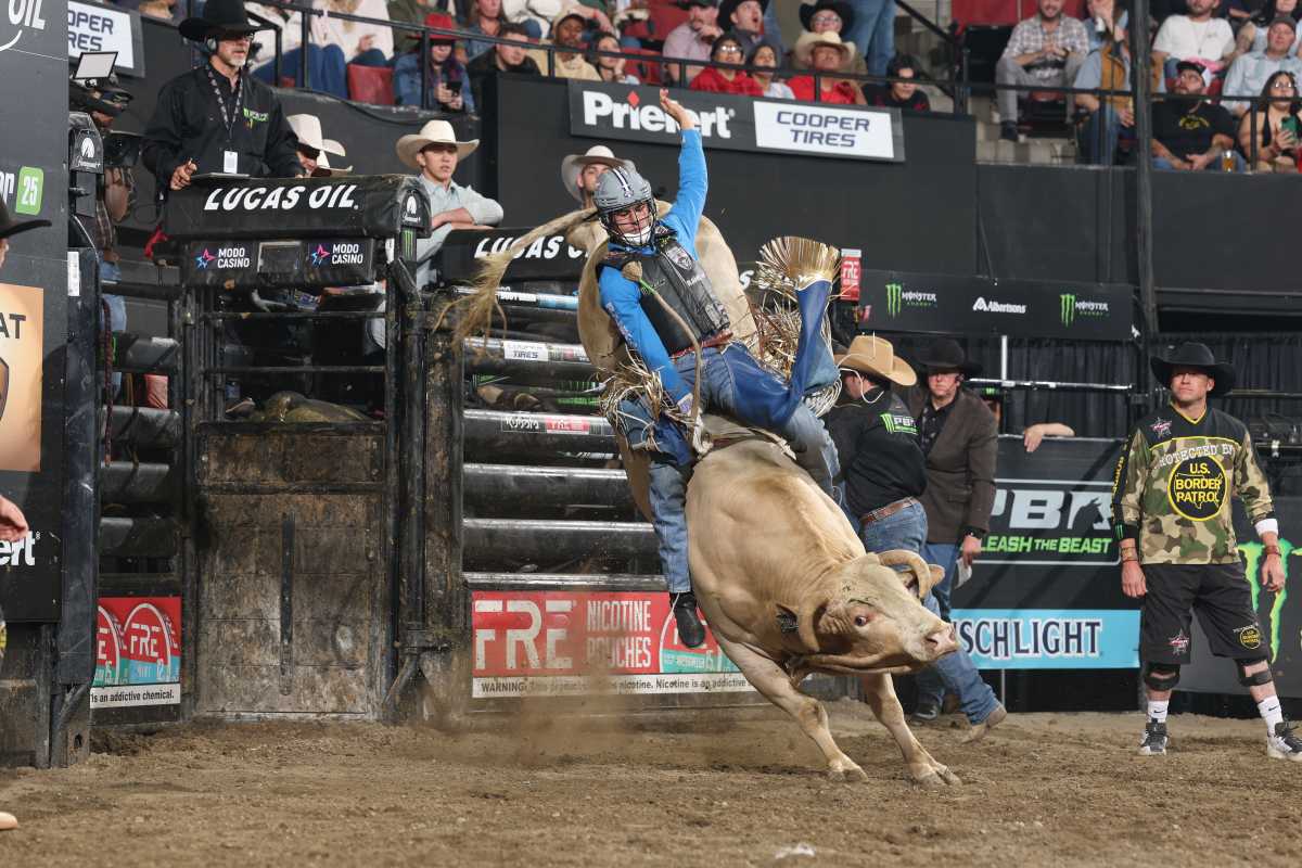 New York Mavericks build momentum for next team bull riding season with captain’s Rookie of the Year win, riders earning top rankings