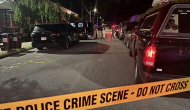 Police lights
