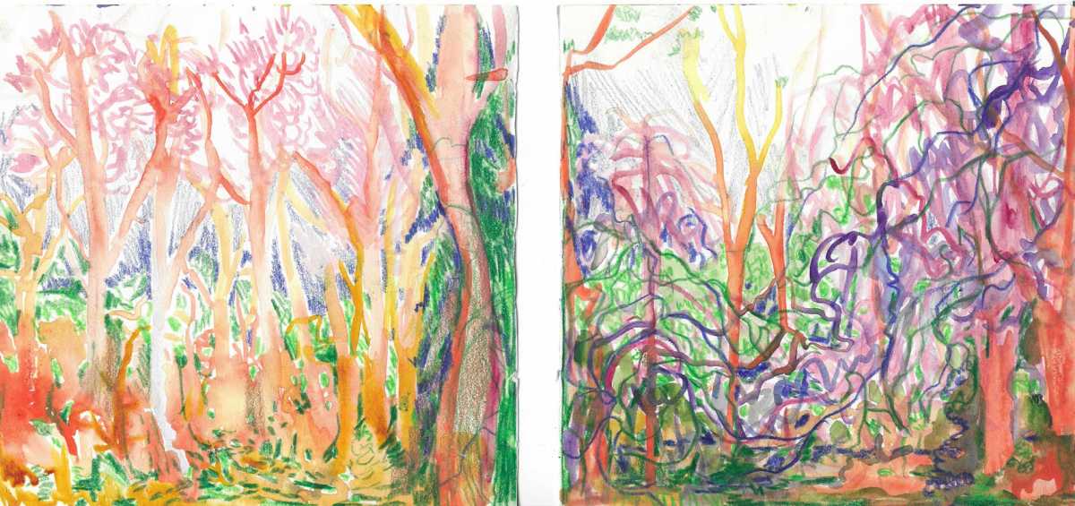 Artist Michelle Hinebrook unveils ‘Urban Nature,’ a decade-long exploration of Brooklyn’s landscape • Brooklyn Paper