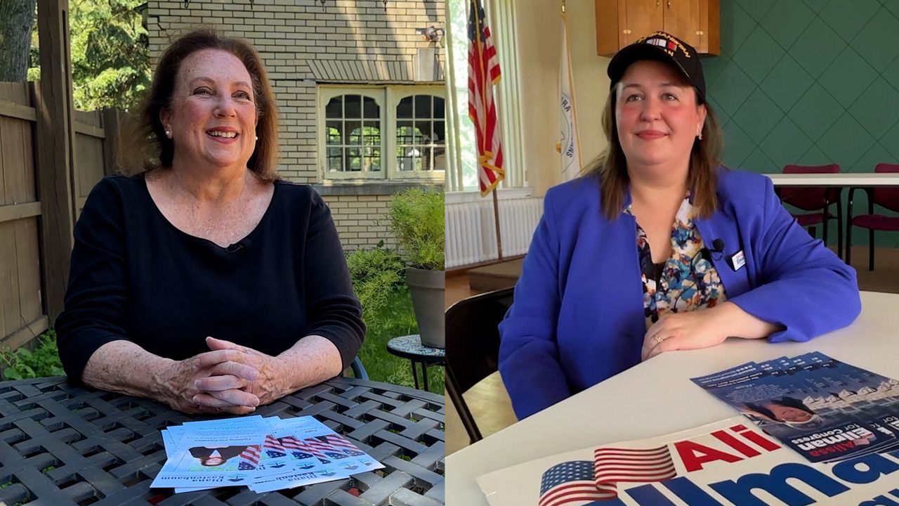 Getting to know the Democratic candidates for NY-24
