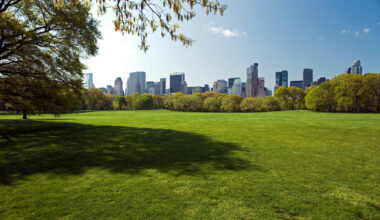 Central Park Watch Party | Manhattan, NY 10019