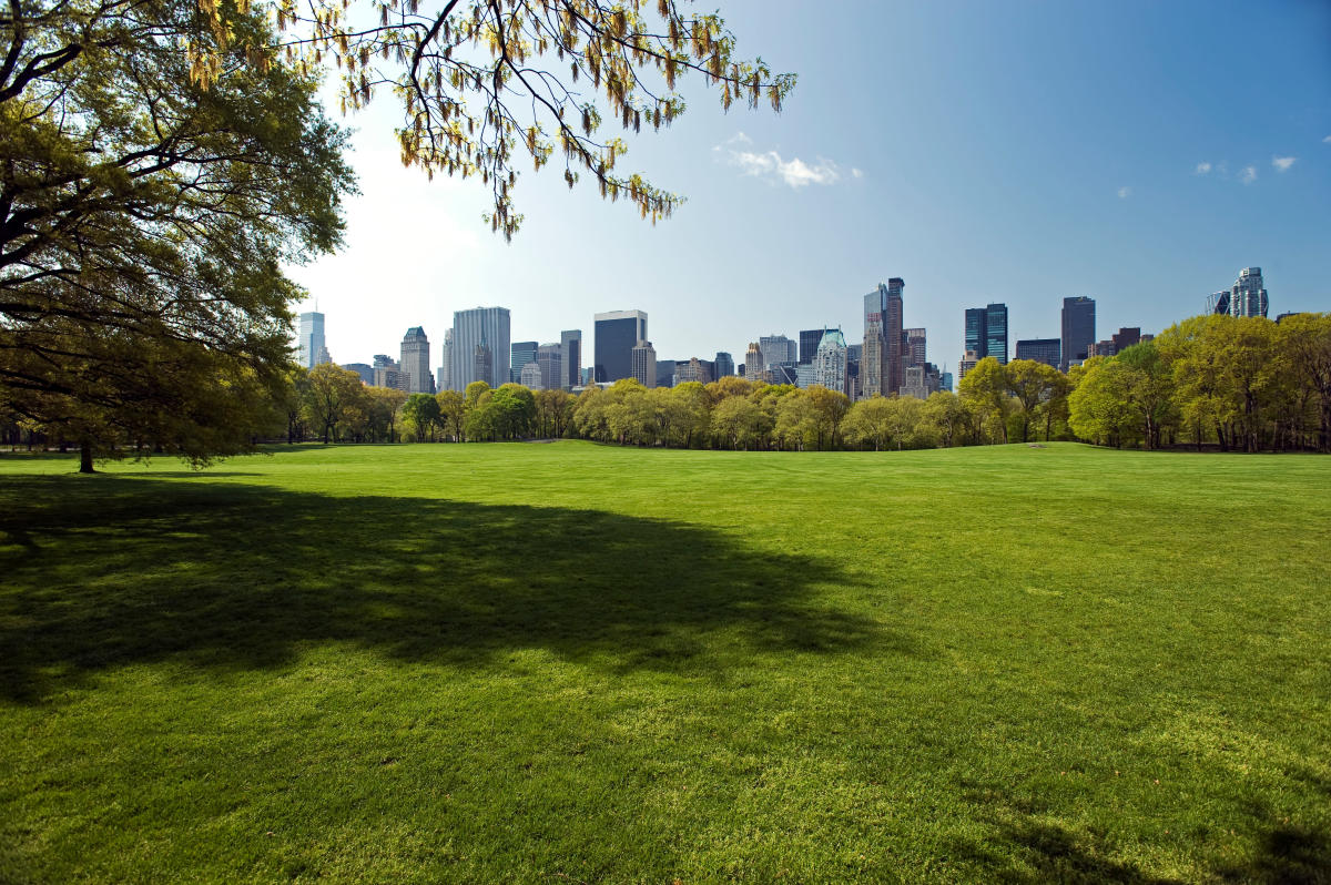 Central Park Watch Party | Manhattan, NY 10019