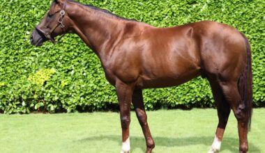 Limestone Prevails In Queen's Vase Thriller
