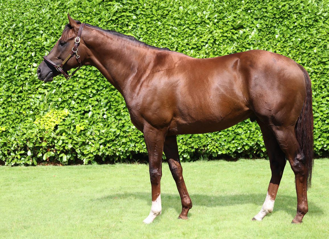 Limestone Prevails In Queen's Vase Thriller