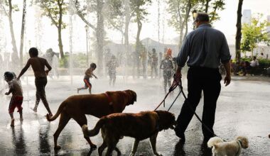 New York Is About to Feel Hotter Than Phoenix