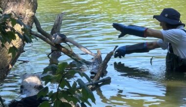 Staten Island parks workers save bird trapped in fishing line