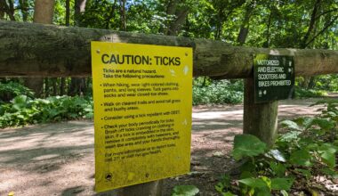 Tick season is back. Protect yourself!