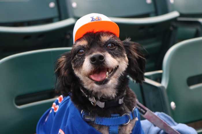 Brooklyn Cyclones