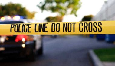 Indian teenager dies while trying to save mother in horse carriage accident in New York City — The Indian Panorama