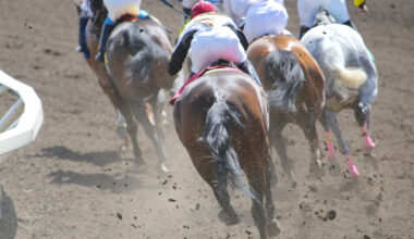 A picture of horse racing
