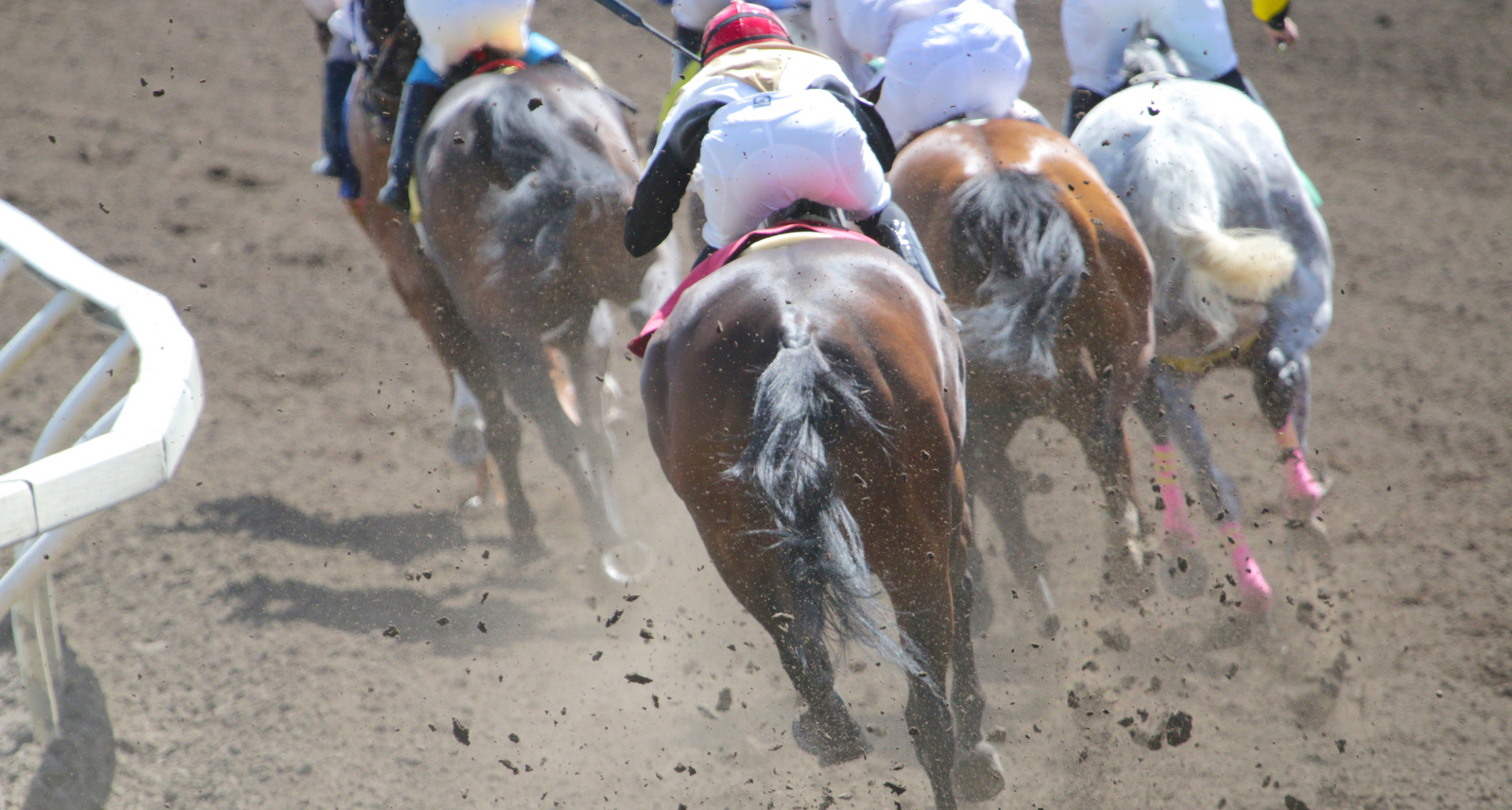 A picture of horse racing