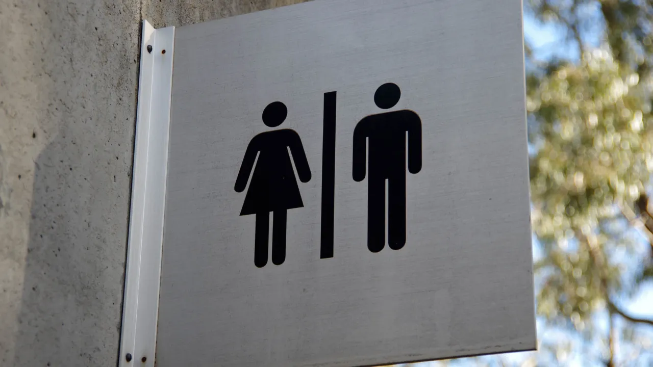 NY neutering gendered parentage in state law