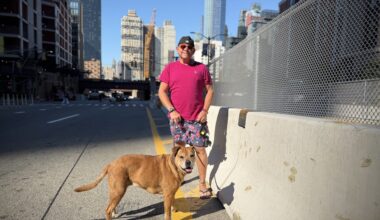 “Temporary is 10 Years” — Astro’s Dog Run Gets New Home as Port Authority Construction Moves In