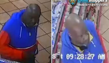 Showy sicko lures girl from popular NYC mall in broad daylight: cops