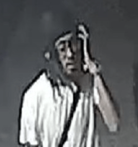 Bedford Park: Eight Sought for Gang Assault & Attempted Robbery of Teen