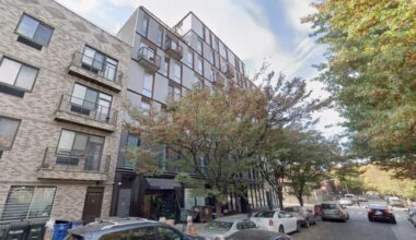 NYC woman harassed neighbors before arrest for near-fatal shove of stranger, 85, at Union Square