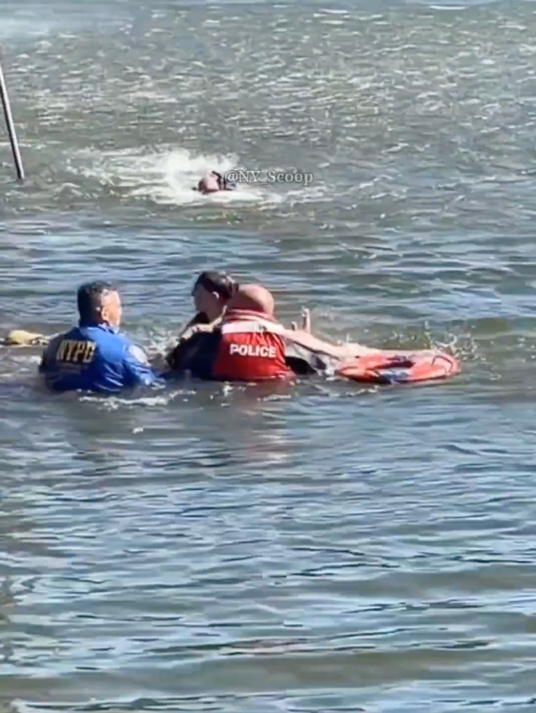 Police officer and lifeguard rescue a person from the water.