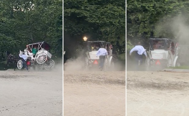Screengrabs from video showing an out-of-control horse-drawn carriage in Central Park on Wednesday, June 17, 2026. (Obtained by Daily News)