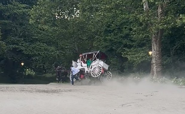 A screengrab from video showing an out-of-control horse-drawn carriage in Central Park on Wednesday, June 17, 2026. (Obtained by Daily News)