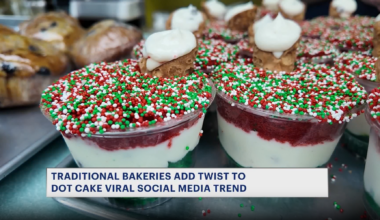 News 12 | Brooklyn | Brooklyn Bakeries Put Unique Spin On Viral Dot Cake Trend