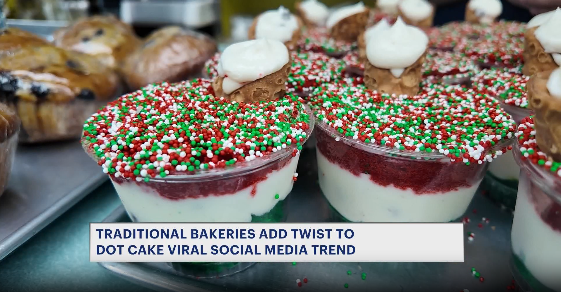 News 12 | Brooklyn | Brooklyn Bakeries Put Unique Spin On Viral Dot Cake Trend