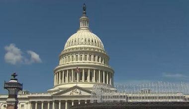 News 12 | Bronx | Power Politics Nyc Primary 2026 Key Races In The Bronx And Brooklyn