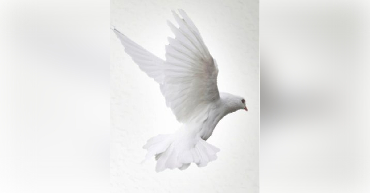 Queen Esther Blount Obituary