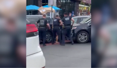 News 12 | Bronx | Passenger Of Stolen Car Arrested After Driver Rammed Officers In Fordham