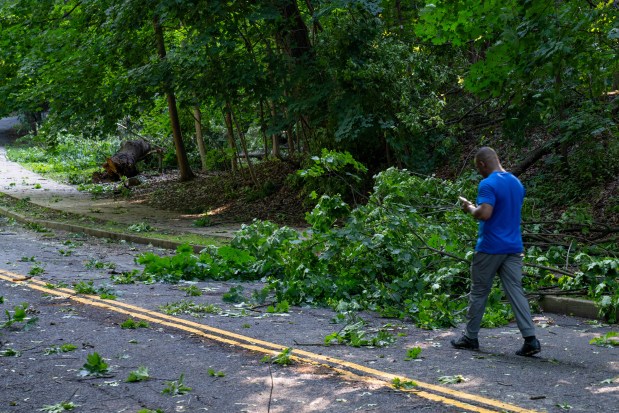 Storm damage is seen inside Forest Park in Queens on Sunday, June 7. 