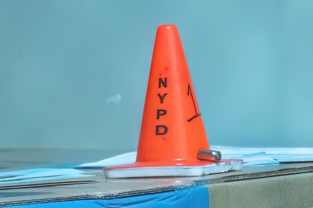 A 63-year-old woman was shot in the leg outside her apartment after taking out her garbage near E. 197th St. and Briggs Ave. in the Bronx on Saturday, June 27, 2026. (Theodore Parisienne / New York Daily News)